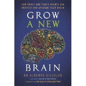 Grow a New Brain | Alberto Villoldo (ISBN: 9781837824793)