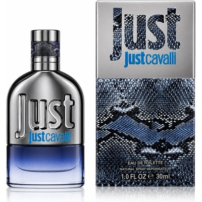 Roberto Cavalli Just Cavalli2013 toaletná voda pánska 30 ml