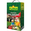 Agro Floria TS Král trávníků 2 kg+zeolit 800 g