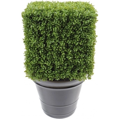 BUXUS REGULAR EDGE KEŘ, 65cm