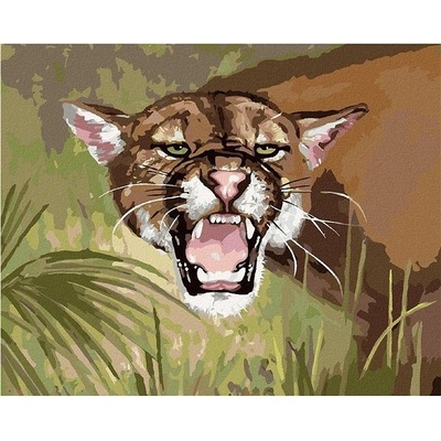 zuty Malování Podle Čísel Puma Ukazující Zuby D. Rusty Rust 40 x 50 Cm Plátno