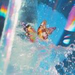 Daphni - Butterfly (CD) (5051142053190)