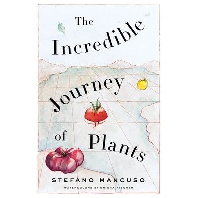 The Incredible Journey of Plants Mancuso StefanoPaperback