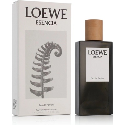 Loewe Solo Esencia parfémovaná voda pánská 100 ml