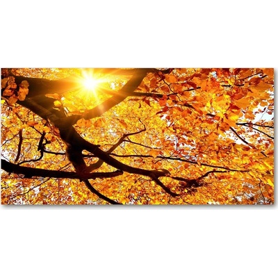 Foto-obraz fotografie na skle Koruna stromov jeseň 100x50 cm