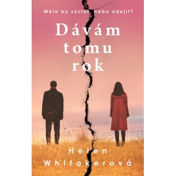 Dávám tomu rok