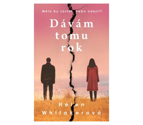 Dávám tomu rok