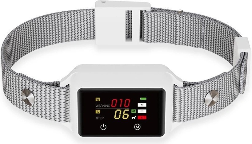Patpet B800