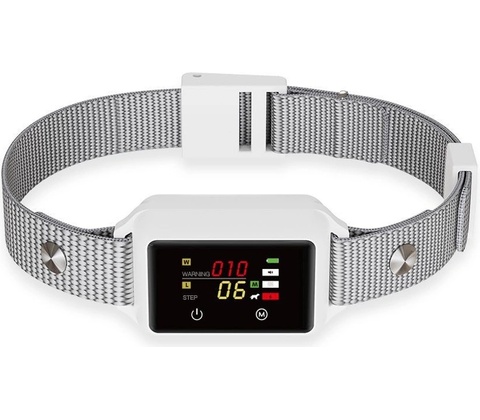 Patpet B800