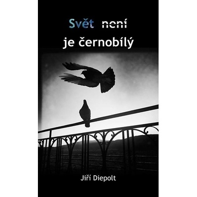 Svět není/je černobílý - Jiří Diepolt