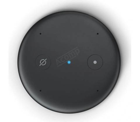 Amazon Echo Input