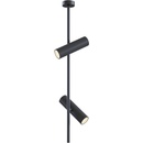 Maytoni C021CL-02B