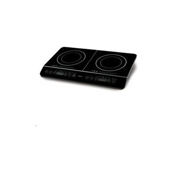 Professor IV306