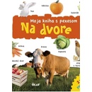 Pexeso – Na dvore