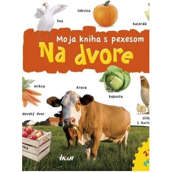 Pexeso – Na dvore