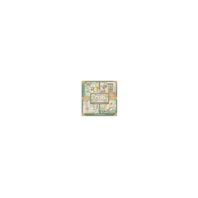 Sada papírů MAXI 20,3x20,3 190g Daisy Art (SBBSXB22) Stamperia SCR525729