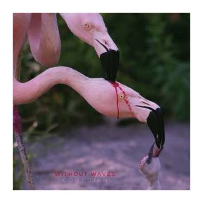 Without Waves - Comedian CD