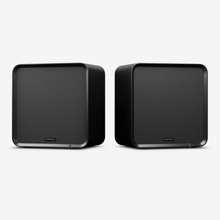 EverSolo SE100