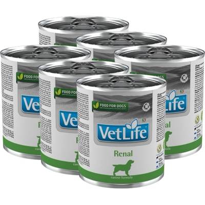 Farmina Vet Life Renal Dog 6x300г