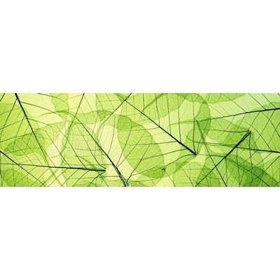 048 Samolepící fototapeta do kuchyně - Zelené listy, 180x60cm