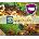 Carcassonne: Traders & Builders