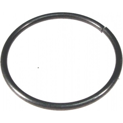 krúžok istiaci pastorok 8r. Sturmey-Archer