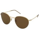 Ray-Ban RBR0103S 001 83