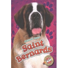 Saint Bernards Sommer Nathan