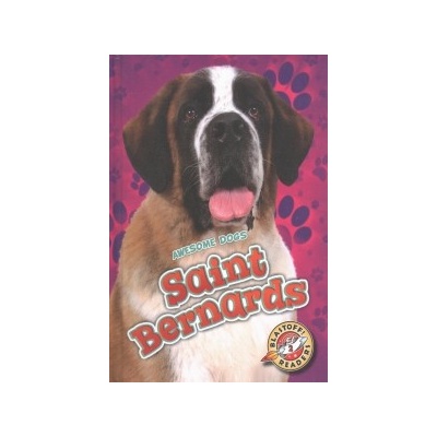 Saint Bernards Sommer Nathan