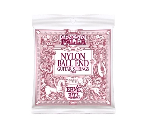 ERNIE BALL 2409
