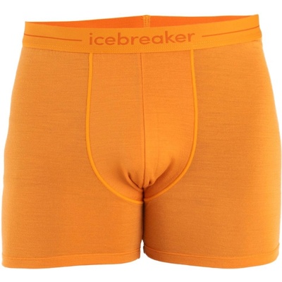 Icebreaker Mens Anatomica Boxers Ray