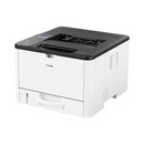 Ricoh P311SE