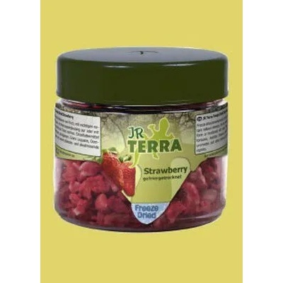 JR FARM Terra Freeze Dried Strawberry - ягоди, храна за сухоземни костенурки, брадати гущери, зелени игуани, бодливи гущери и други всеядни и растителноядни влечуги 10 грaма