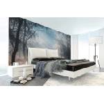 DIMEX ART Самозалепваща се флизелинова фототапета сутрешна мъгла в гората 375 x 250 см