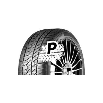 Goodride ZuperSnow Z-507 205/55 R16 91H