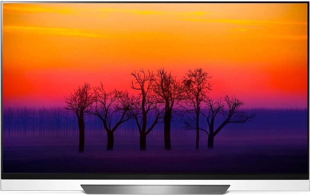 LG OLED65E8