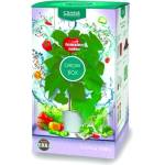 CANNA Grow Box - старт пакет за почвено отглеждане