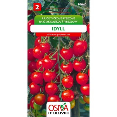 Rajče tyčkové rybízové Idyll
