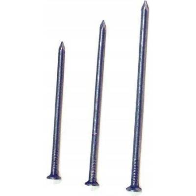 Hřebíky univerzální WT WINTECH a.s. 1 x 1 mm 1 kg / 1 ks