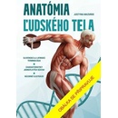 Ľudské telo