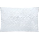 SCANquilt vankúš CLASSIC 45x65