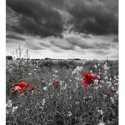 Dimex MS-3-0091 vliesová fototapeta rozměry 225 x 250 cm