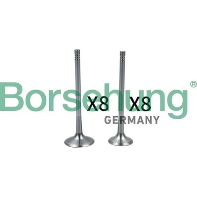 Sací ventil BORSEHUNG B18637