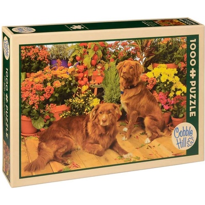 Cobble Hill Пъзел Cobble Hill от 1000 части - Новошотландски ретривъри (TYPZ0004018)