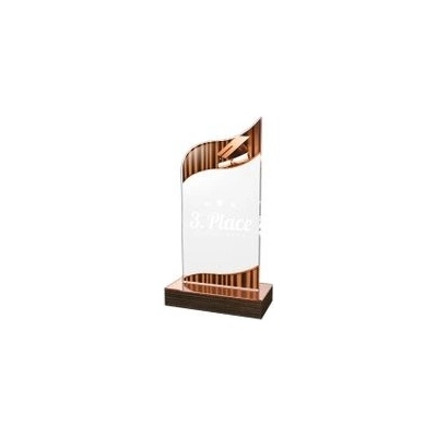 Poháry Bauer Akrylátová trofej WPLA632 Studium