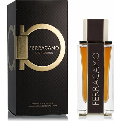 Ferragamo Ferragamo Spicy Leather parfémovaná voda pánská 100 ml