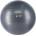 Fitforce Gym antiburst 55 55