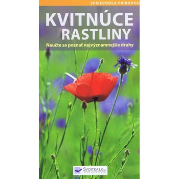 Kvitnúce rastliny