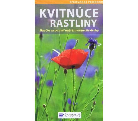 Kvitnúce rastliny