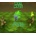 War Maze